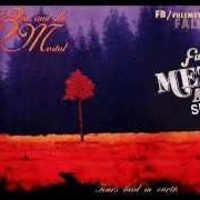 Der musikalische text OCEANA von THE 3RD AND THE MORTAL ist auch in dem Album vorhanden Tears laid to the earth (1994)