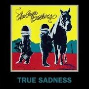 Der musikalische text NO HARD FEELINGS von THE AVETT BROTHERS ist auch in dem Album vorhanden True sadness (2016)