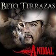 Der musikalische text MILLON DE LAGRIMAS von BETO TERRAZAS ist auch in dem Album vorhanden Con los pies en la tierra (2006)