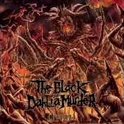 Der musikalische text WE DEAD ARE BEST LEFT UNDERGROUND von THE BLACK DAHLIA MURDER ist auch in dem Album vorhanden Abysmal (2015)