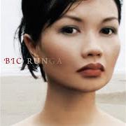 Der musikalische text BEAUTIFUL COLLISION von BIC RUNGA ist auch in dem Album vorhanden Beautiful collision (2002)