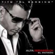 Der musikalische text TE PIDO PERDON von TITO EL BAMBINO ist auch in dem Album vorhanden El patron (2009)