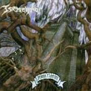 Anno domini Anno domini