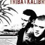 Der musikalische text CHI SIETE? von TRIBA E KALIBRO ist auch in dem Album vorhanden Colpisci (2007)
