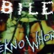 Der musikalische text TEKNOWHORE von BILE ist auch in dem Album vorhanden Teknowhore (1996)