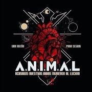 Der musikalische text CRIMINALES DE LA LIBERTAD von A.N.I.M.A.L. ist auch in dem Album vorhanden Una razón para seguir (2018)