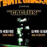 Der musikalische text A COSA TENGO DI PIÙ von PIANTE GRASSE ist auch in dem Album vorhanden Cactus