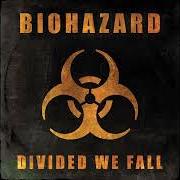 Divided we fall Divided we fall
