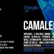 Der musikalische text COME SEI BELLA von CAMALEONTI ist auch in dem Album vorhanden Sanremo