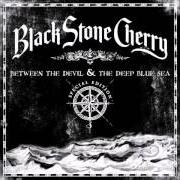 Der musikalische text SUCH A SHAME von BLACK STONE CHERRY ist auch in dem Album vorhanden Between the devil & the deep blue sea (2011)