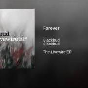 Der musikalische text LOST IN TIME von BLACKBUD ist auch in dem Album vorhanden The livewire ep (2005)
