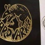 Der musikalische text RISE RAW von AARDVARKS ist auch in dem Album vorhanden Eyes (1994)