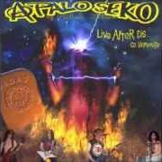 Der musikalische text A PALO SEKO von A PALO SEKO ist auch in dem Album vorhanden Live after disco homenaje (2007)