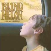 Der musikalische text SO HIGH von BLIND MELON ist auch in dem Album vorhanden For my friends (2008)