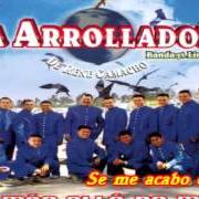 Der musikalische text NO PUEDO VOLVER von LA ARROLLADORA BANDA EL LIMON ist auch in dem Album vorhanden Se me acabó el amor (2003)