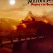 Der musikalische text PLANETKILLER von PAIN CONFESSOR ist auch in dem Album vorhanden Purgatory of the second sun