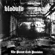 Der musikalische text STANK von BLODULV ist auch in dem Album vorhanden The purest cold precision (2004)