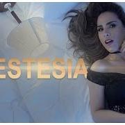 Der musikalische text O TEMPO QUE A PAIXÃO QUISER von WANESSA CAMARGO ist auch in dem Album vorhanden Wanessa camargo 3 (2002)