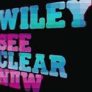 Der musikalische text I NEED TO BE von WILEY ist auch in dem Album vorhanden See clear now (2008)