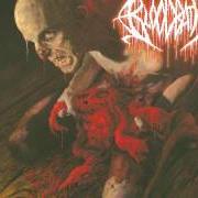 Der musikalische text DRAPED IN DISEASE von BLOODBATH ist auch in dem Album vorhanden Nightmares made flesh (2004)