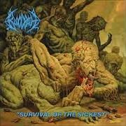 Der musikalische text AFFLICTION OF EXTINCTION von BLOODBATH ist auch in dem Album vorhanden Survival of the sickest (2022)