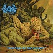 Der musikalische text BORN INFERNAL (FEAT. LUC LEMAY) von BLOODBATH ist auch in dem Album vorhanden Survival of the sickest (2022)