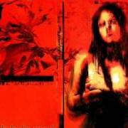 Diabolic angel