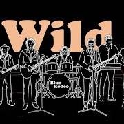 Der musikalische text WHEN YOU WERE WILD von BLUE RODEO ist auch in dem Album vorhanden Many a mile (2021)