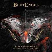 Der musikalische text DIE WITH YOU von BLUTENGEL ist auch in dem Album vorhanden Black symphonies (2014)