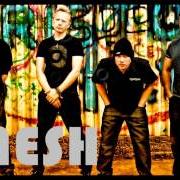 Der musikalische text TOO LITTLE TOO LATE von MESH ist auch in dem Album vorhanden Runway (2017)