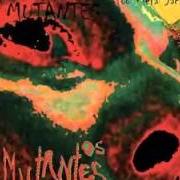 Der musikalische text ONCE UPON A FLIGHT von OS MUTANTES ist auch in dem Album vorhanden Fool metal jack (2013)