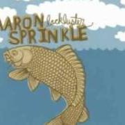 Der musikalische text REALLY SOMETHING von AARON SPRINKLE ist auch in dem Album vorhanden Lackluster (2004)