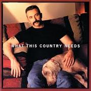 Der musikalische text I DIDN'T COME THIS FAR (JUST TO WALK AWAY) von AARON TIPPIN ist auch in dem Album vorhanden What this country needs (1998)