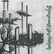 Der musikalische text THE TWILIGHT FADE von THERGOTHON ist auch in dem Album vorhanden Fhtagn-nagh yog-sothoth - demo (1991)