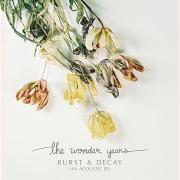 Der musikalische text DISMANTLING SUMMER von THE WONDER YEARS ist auch in dem Album vorhanden Burst & decay (2017)