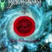 Der musikalische text NOCTURNAL VISION von BORKNAGAR ist auch in dem Album vorhanden The archaic course (1999)