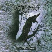 Der musikalische text THE MOUNTAINS ROVE von BORKNAGAR ist auch in dem Album vorhanden The olden domain (1997)