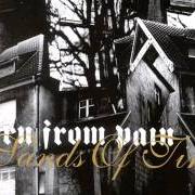 Der musikalische text STAINLESS von BORN FROM PAIN ist auch in dem Album vorhanden Sands of time (2004)