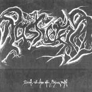 Der musikalische text DIE LEICHENHEXE von AASKEREIA ist auch in dem Album vorhanden Dort, wo das alte böse ruht (2011)