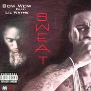 Der musikalische text CUFF YO CHICK von BOW WOW ist auch in dem Album vorhanden Underrated (2011)