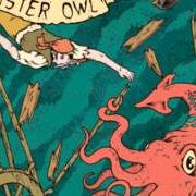Der musikalische text SCREW THE STANDARD von MISTER OWL ist auch in dem Album vorhanden All my friends (2008)