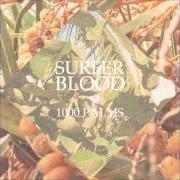 Der musikalische text SABER-TOOTH & BONE von SURFER BLOOD ist auch in dem Album vorhanden 1000 palms (2015)