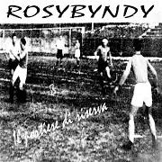 Der musikalische text SINTOMI von ROSYBYNDY ist auch in dem Album vorhanden Il portiere di riserva (2005)