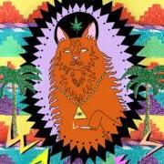 Der musikalische text LINUS SPACEHEAD von WAVVES ist auch in dem Album vorhanden King of the beach (2010)