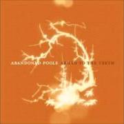 Der musikalische text HUNTING (THE UNIVERSE BREAKS MY HEART) von ABANDONED POOLS ist auch in dem Album vorhanden Armed to the teeth (2005)