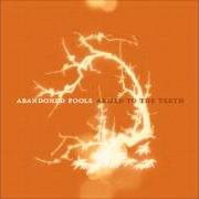 Der musikalische text ARMY OF ME von ABANDONED POOLS ist auch in dem Album vorhanden The reverb