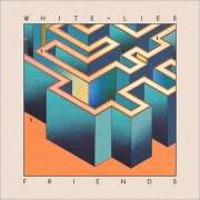 Der musikalische text DON'T WANT TO FEEL IT ALL von WHITE LIES ist auch in dem Album vorhanden Friends (2016)