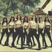 Der musikalische text INDESTRUCTIBLE von GIRLS' GENERATION ist auch in dem Album vorhanden The best (2014)