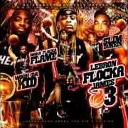 Der musikalische text HARD IN THE PAINT von WAKA FLOCKA FLAME ist auch in dem Album vorhanden Lebron flocka james pt.2 (2010)