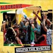 Der musikalische text WHO RUN THE DANCE von ALBOROSIE ist auch in dem Album vorhanden Sound the system (2013)